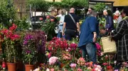 Les Floralies de Florensac : un rendez-vous printanier incontournable le 26 avril