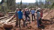 Les groupements forestiers dressent le bilan après la tempête Nils dans l'Hérault