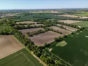 Les haies, enjeu agricole et écologique en Charente-Maritime : entre arrachages et plantations