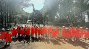 Les petits Canaillous explorent dinosaures et nature