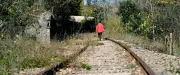Ligne Alès-Bessèges : un projet ferroviaire face aux obstacles réglementaires