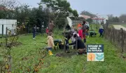 L'île d'Oléron célèbre ses vergers avec des animations nature et patrimoine