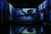 L'océan en immersion aux Bassins des Lumières de Bordeaux dès juillet