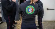 Lot-et-Garonne : un chevreuil égaré dans un jardin capturé et relâché dans la nature