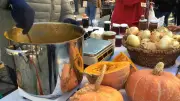 Lozère : balade nature, marchés et atelier déco pour le festival de la Soupe