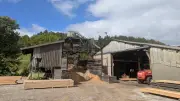 Lozère : ciné-concert, travaux et scierie au programme cette semaine