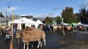 Lozère : forum des associations, fêtes et marché de producteurs