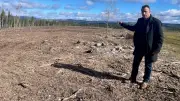 Lozère : le plus grand parc photovoltaïque d'Occitanie verra le jour fin 2027