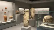 Lozère : musée du Gévaudan, mobilisation FSU-CGT et sortie nature