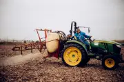 L'urine humaine, un engrais naturel aussi efficace que le fumier pour fertiliser les champs