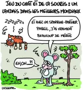 Marathons électoraux dans les Landes : des séances nocturnes jusqu'à l'aube