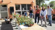 Marché aux fleurs de Lirac : un succès pour financer les sorties scolaires