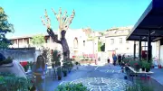 Marché aux fleurs des parents d'élèves à Puissalicon le 1er mai