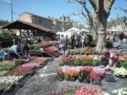 Marché aux fleurs du Lions Club à Lalinde : 30e édition le 1er mai