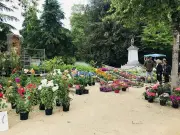 Marché aux fleurs et concours Fleurissons notre ville à Nérac les 9 et 10 mai