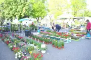 Marché aux fleurs et vide-greniers : 90 exposants à la cité ducale