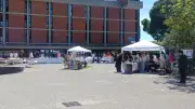 Marché printanier au lycée Jean-Mermoz : pédagogie et solidarité en action