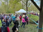 Marche solidaire au lac de Frace : succès pour collecter des fonds contre Parkinson
