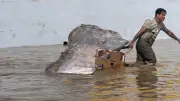 Mexique : au moins 28 morts et 11 disparus dans des inondations historiques