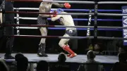 MMB Fight IV : Millau vibrera au rythme du kickboxing ce samedi