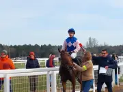 Mont-de-Marsan : une journée hippique festive dédiée à l'obstacle et au cross