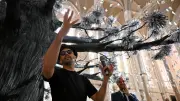 Montpellier : le Carré Sainte-Anne rouvre avec un arbre monumental de JR
