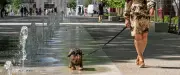 Montpellier signe la charte 