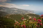 Météo Alpes-Maritimes : mercredi 29 avril, calme après les orages