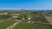 Mèze : les eaux usées traitées pour sauver 100 hectares de vignes menacées