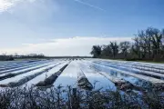 Nappes phréatiques en France : une situation globalement satisfaisante malgré un début de vidange