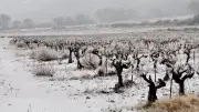 Neige et verglas : 4 départements d'Occitanie en vigilance orange