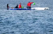 Nouvelle tentative de sauvetage d'une baleine échouée en Allemagne