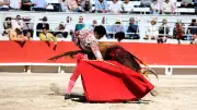 Novillada d'Arles : Nino Julian, Vilau et Victor brillent lors d'une corrida prometteuse