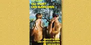 Où vont les garçons ? Une enquête anthropologique sur le tourisme festif des jeunes hommes