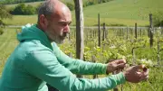 Olivier Marcou, vigneron biodynamique à Targon, défend une viticulture respectueuse de la terre