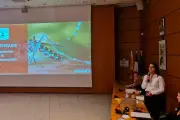 Ollioules lance une campagne de démoustication renforcée contre le moustique tigre