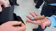 Opération de sécurisation dans les écoles du Gard : armes blanches saisies