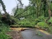 Orages dans l'Ouest Béarn : inondations et trafic SNCF interrompu