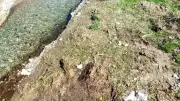 Ouverture de la pêche à Vissec : débit exceptionnel et pression des cormorans