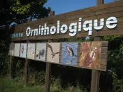 Panneaux bilingues attaqués au Teich : une association défend le français contre l'anglais