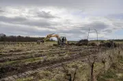 Pascal Lavergne veut transformer les vignes arrachées en fermes pour la souveraineté alimentaire