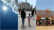 Pic de chaleur, rave party, chien préhistorique : l'actu régionale