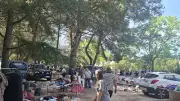 Plus de 100 exposants pour un vide-greniers réussi à Codognan