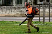 Pourquoi les souffleurs de feuilles sont l'archétype du bruit inutile et polluant