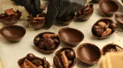 Pâques : l'UFC Que Choisir révèle le classement des chocolats, cadmium et prix en ligne de mire