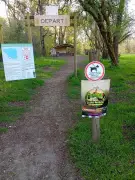 Première édition du Cani-Moron : course et randonnée canines au site naturel