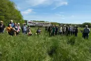 Périgord vert : mobilisation contre un parc agrivoltaïque sur 15 hectares de prairies