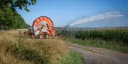 Projet de loi d'urgence agricole : un texte touche-à-tout aux risques environnementaux majeurs
