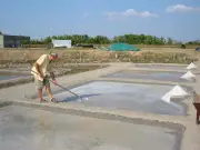 Quiz patrimonial à Mornac-sur-Seudre : L'Huître pédagogique célèbre la Saintonge maritime