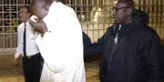 Rabat : Peines confirmées contre des supporters sénégalais pour hooliganisme après la CAN